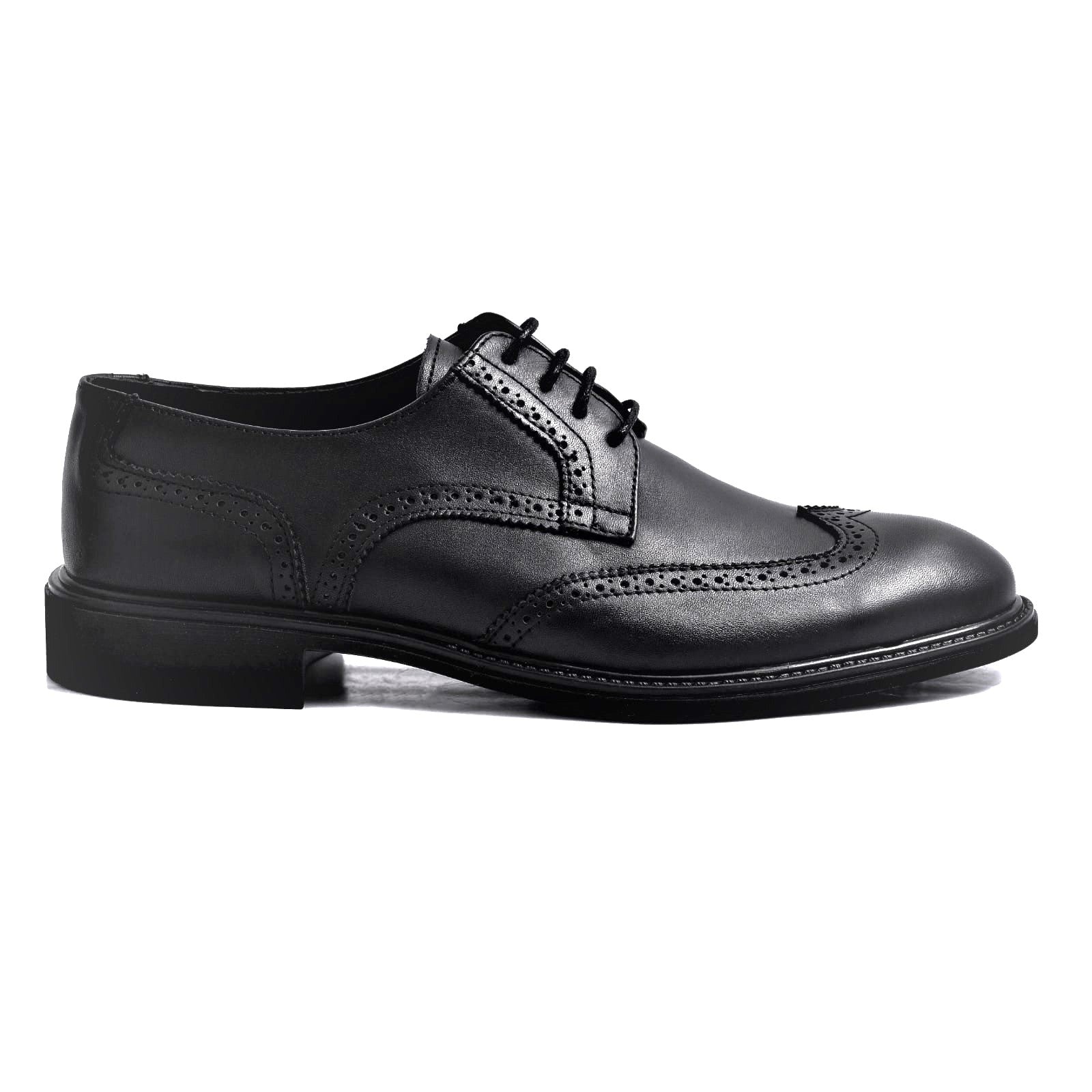 Dorano - Signature Brogue Derby 1954 - Arconya