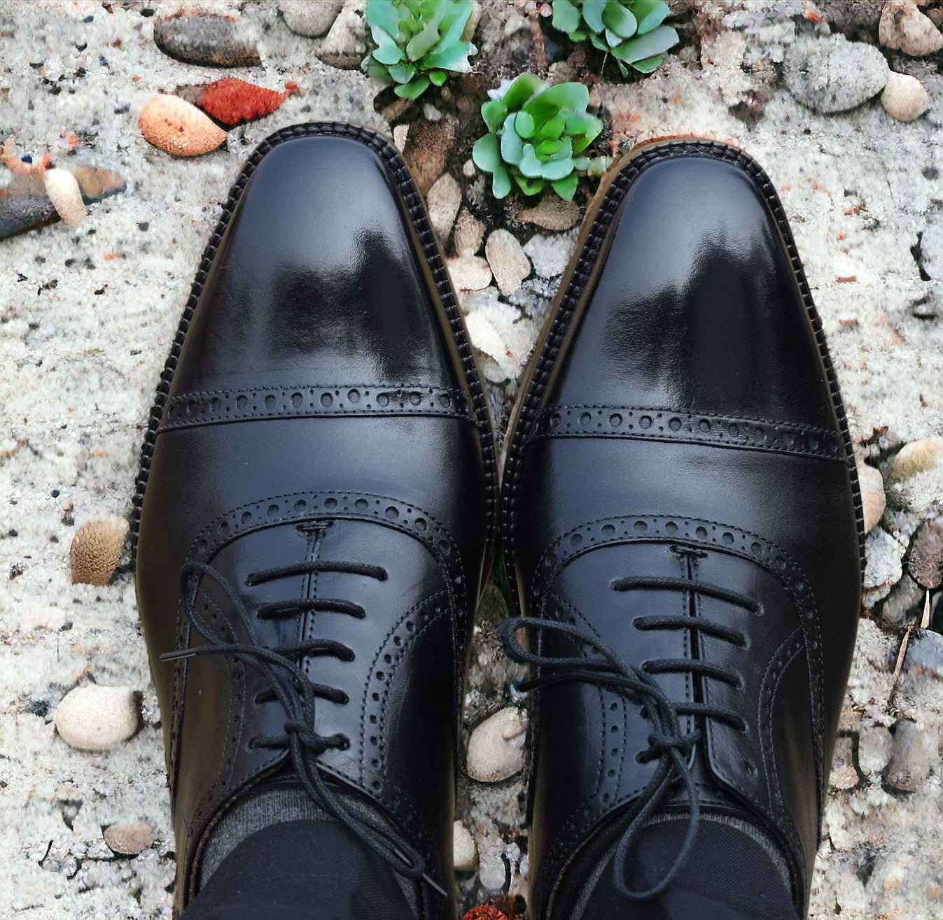 A pair of black handmade oxford brogue shoes with a lace-up closure, displayed on a stone surface with potted plants in the background.