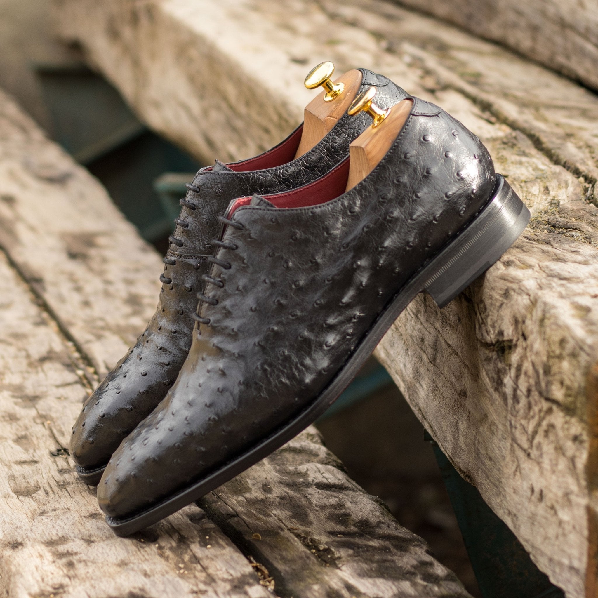 Sotini - Exotic Ostrich skin leather oxford Wholecut shoes