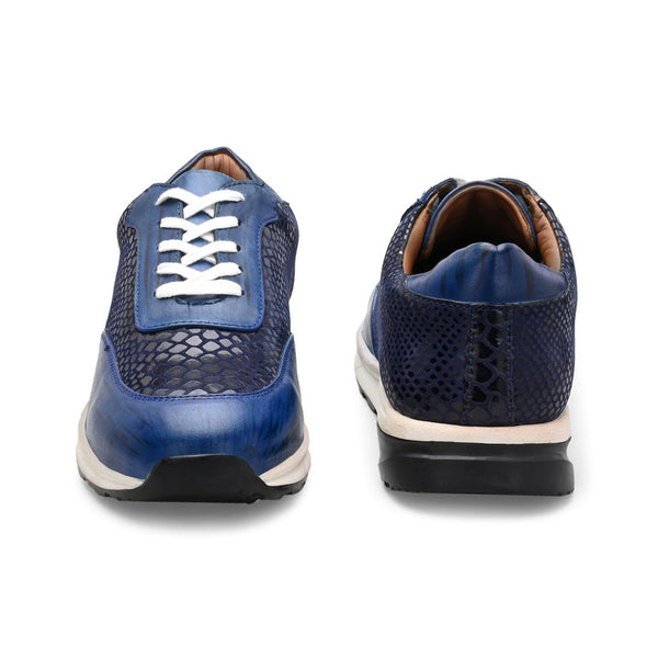 Toronto The Blue Sneaker