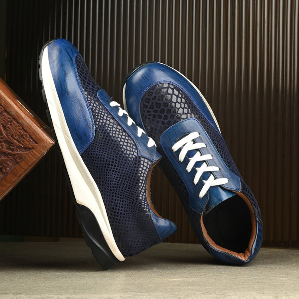 Toronto The Blue Sneaker